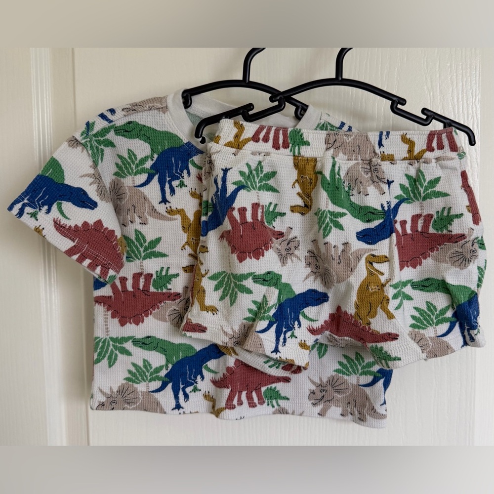 Matching Dinosaur Set